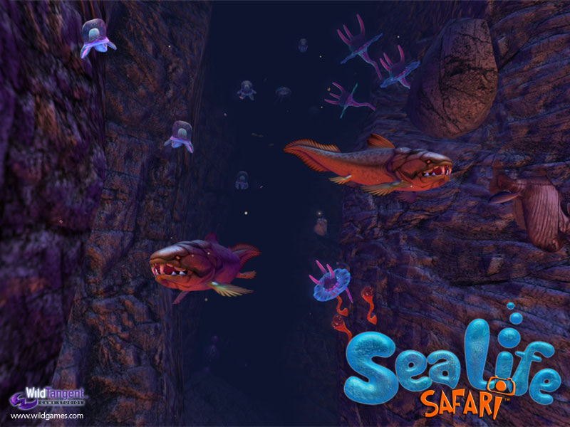 sea life safari game download